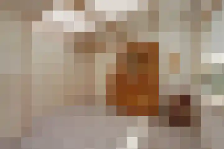 Krangstraat 9 Bruchem thumbnail 46