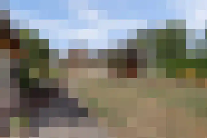 Krangstraat 9 Bruchem thumbnail 5