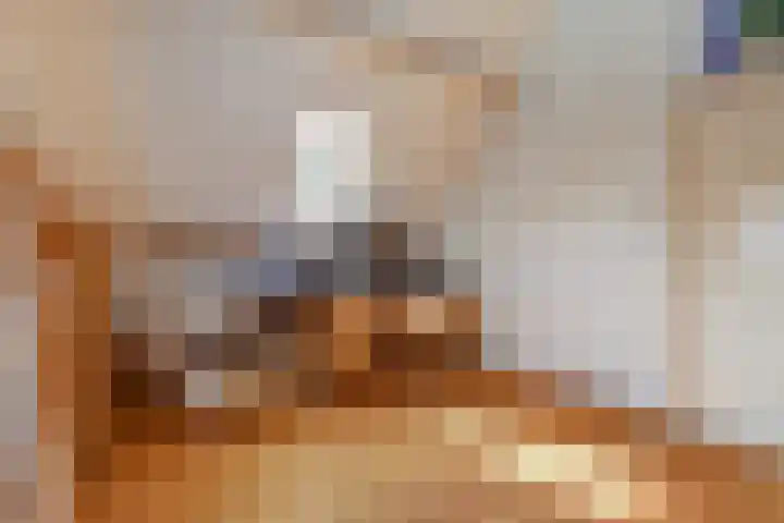 Krangstraat 9 Bruchem thumbnail 61