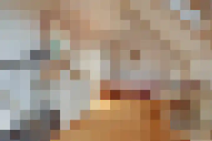 Krangstraat 9 Bruchem thumbnail 63