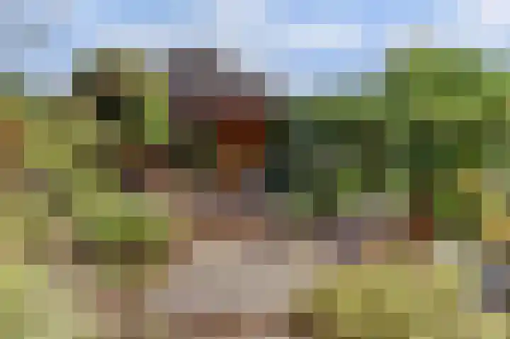 Krangstraat 9 Bruchem thumbnail 67