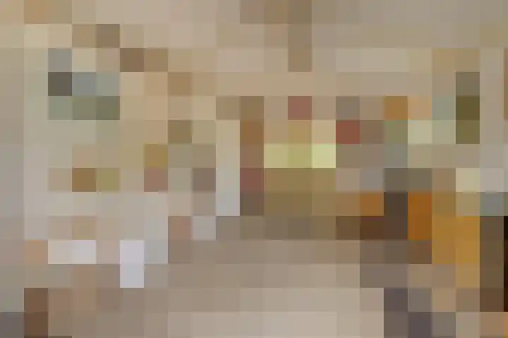Krangstraat 9 Bruchem thumbnail 68