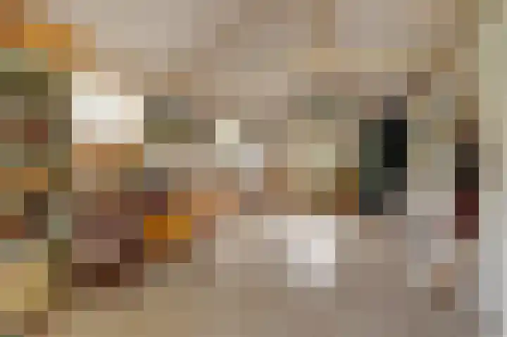 Krangstraat 9 Bruchem thumbnail 69