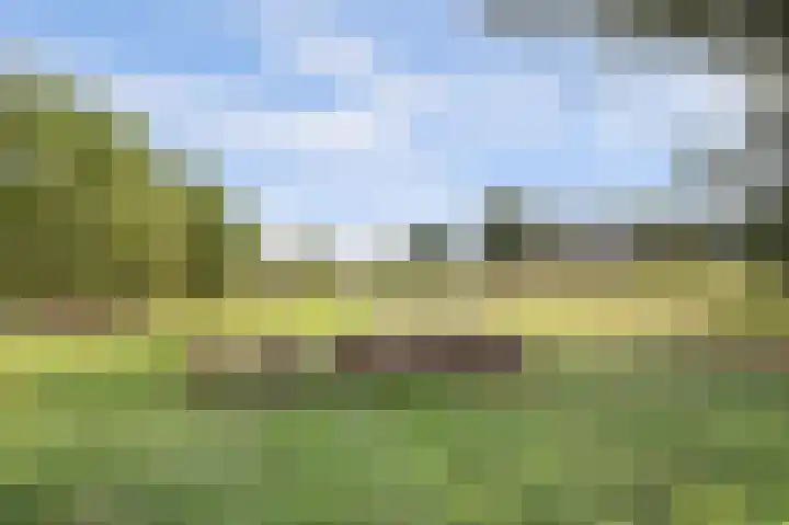 Krangstraat 9 Bruchem thumbnail 7