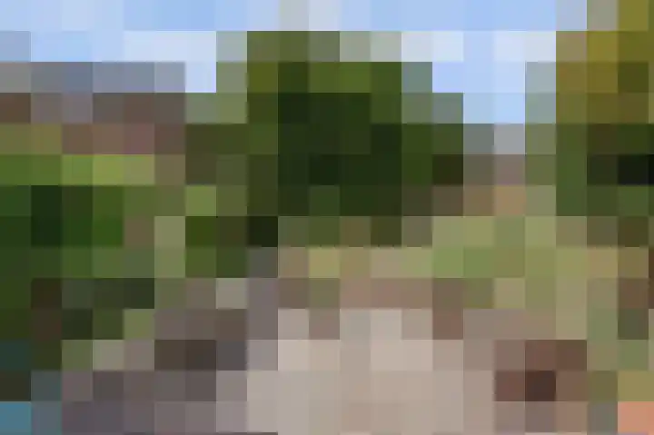 Krangstraat 9 Bruchem thumbnail 71