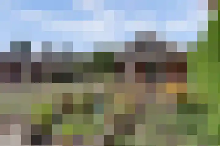Krangstraat 9 Bruchem thumbnail 73