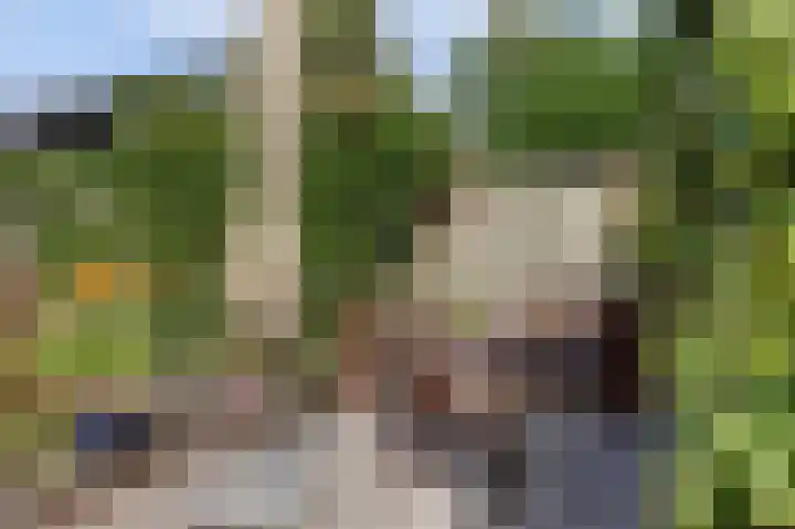 Krangstraat 9 Bruchem thumbnail 74