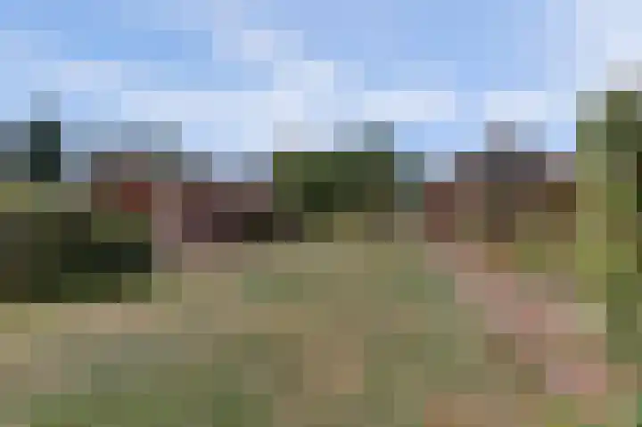Krangstraat 9 Bruchem thumbnail 8