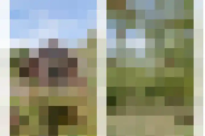 Krangstraat 9 Bruchem thumbnail 9