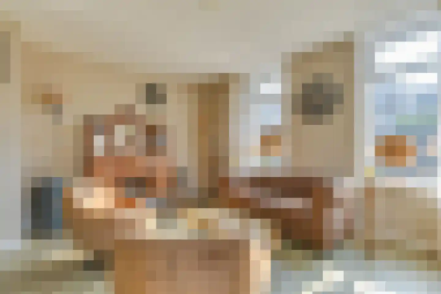 Krankhoorn 14 Warmenhuizen thumbnail 12