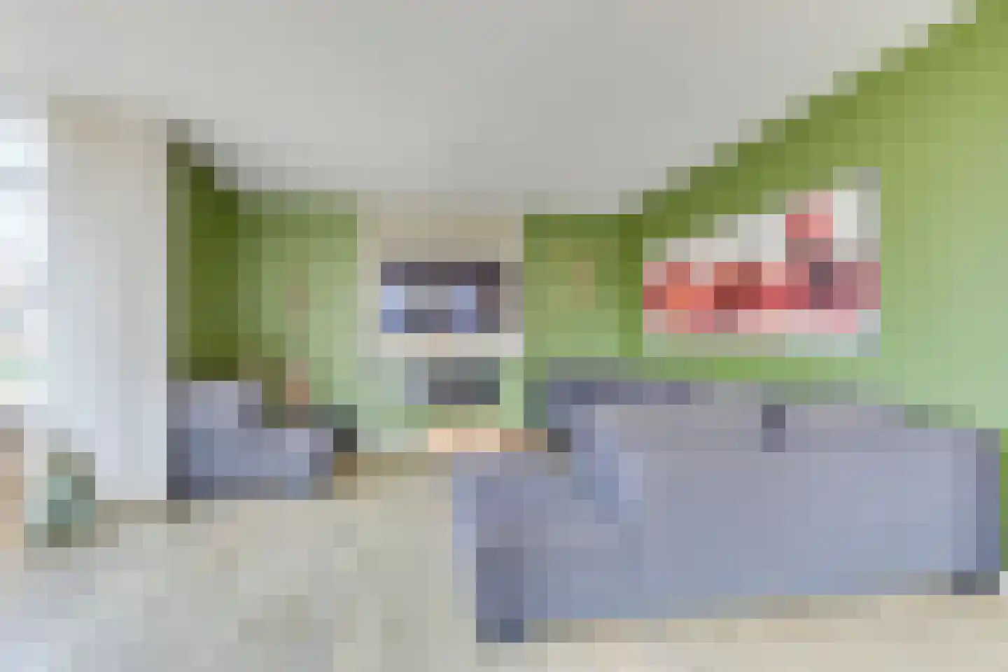 Krankhoorn 14 Warmenhuizen thumbnail 16