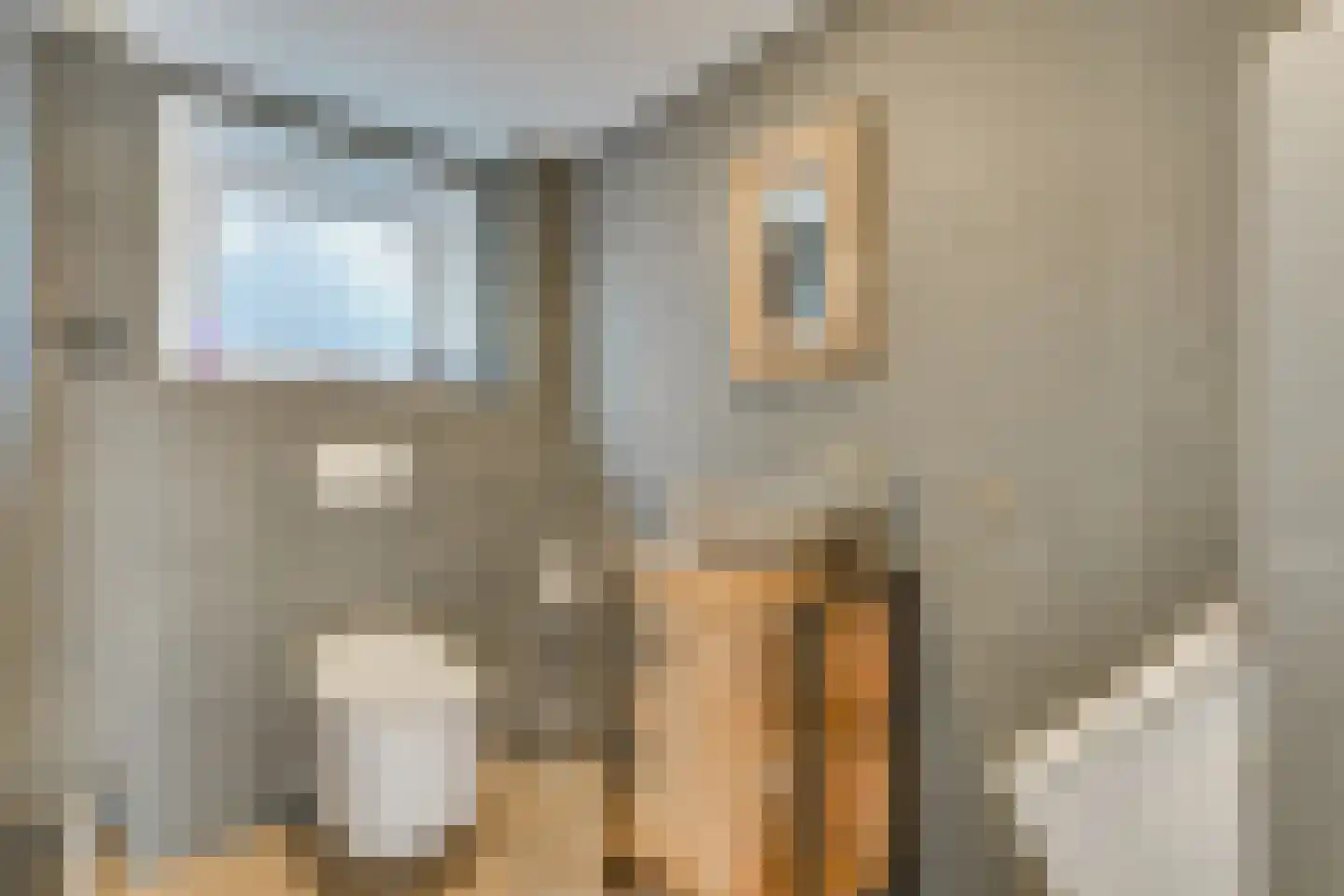 Krankhoorn 14 Warmenhuizen thumbnail 21