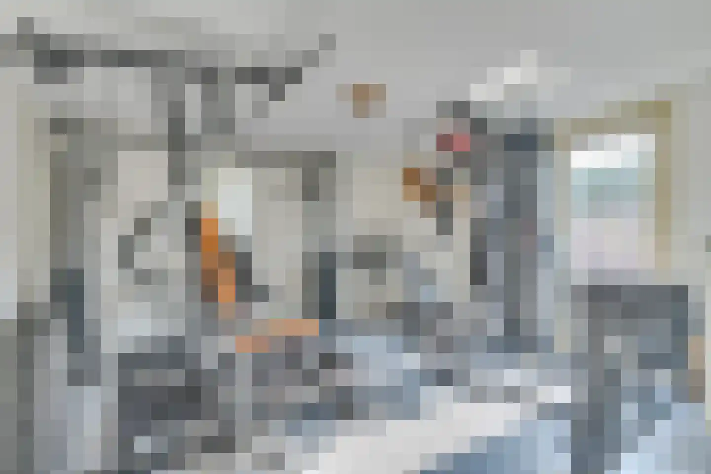 Krankhoorn 14 Warmenhuizen thumbnail 26
