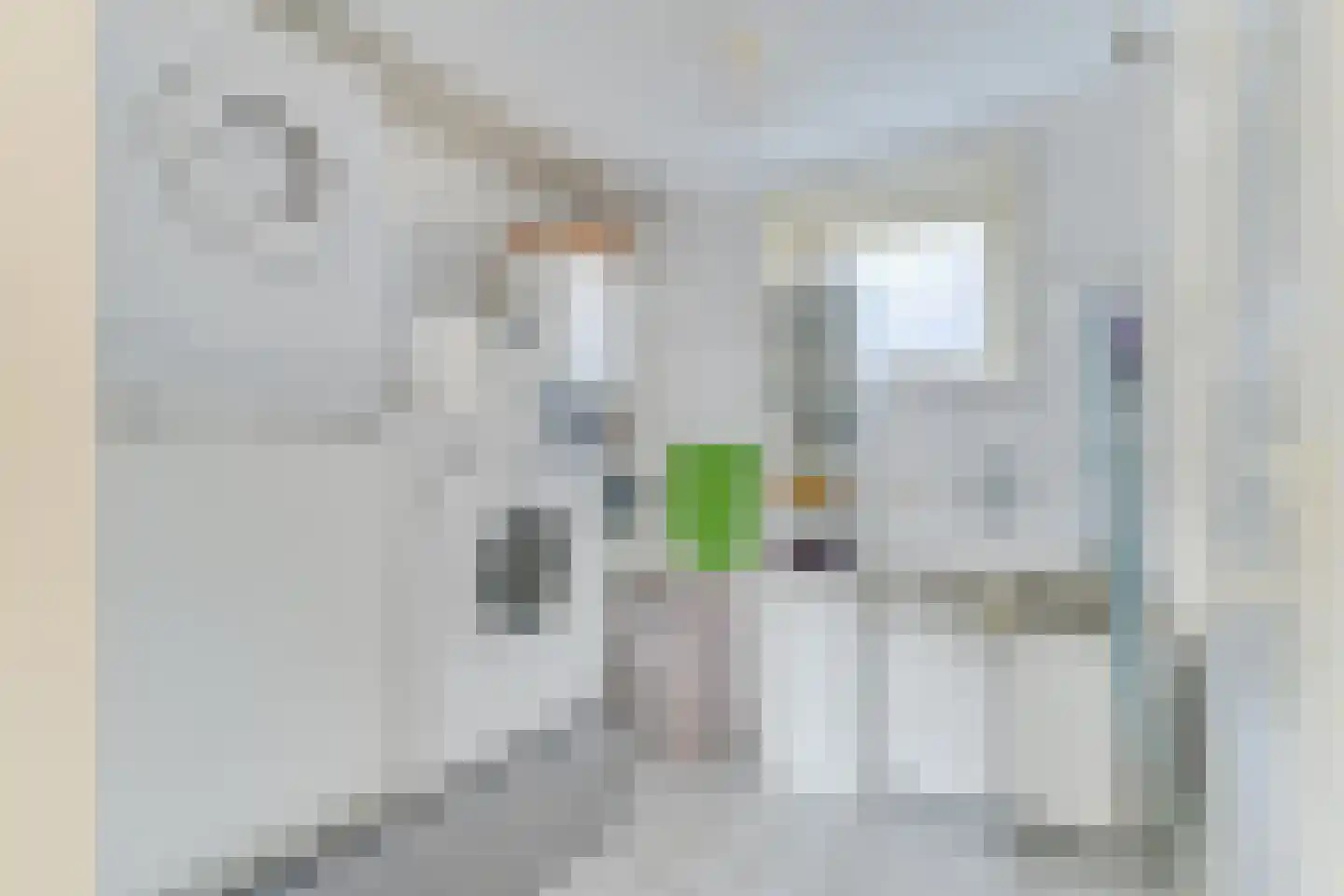 Krankhoorn 14 Warmenhuizen thumbnail 29
