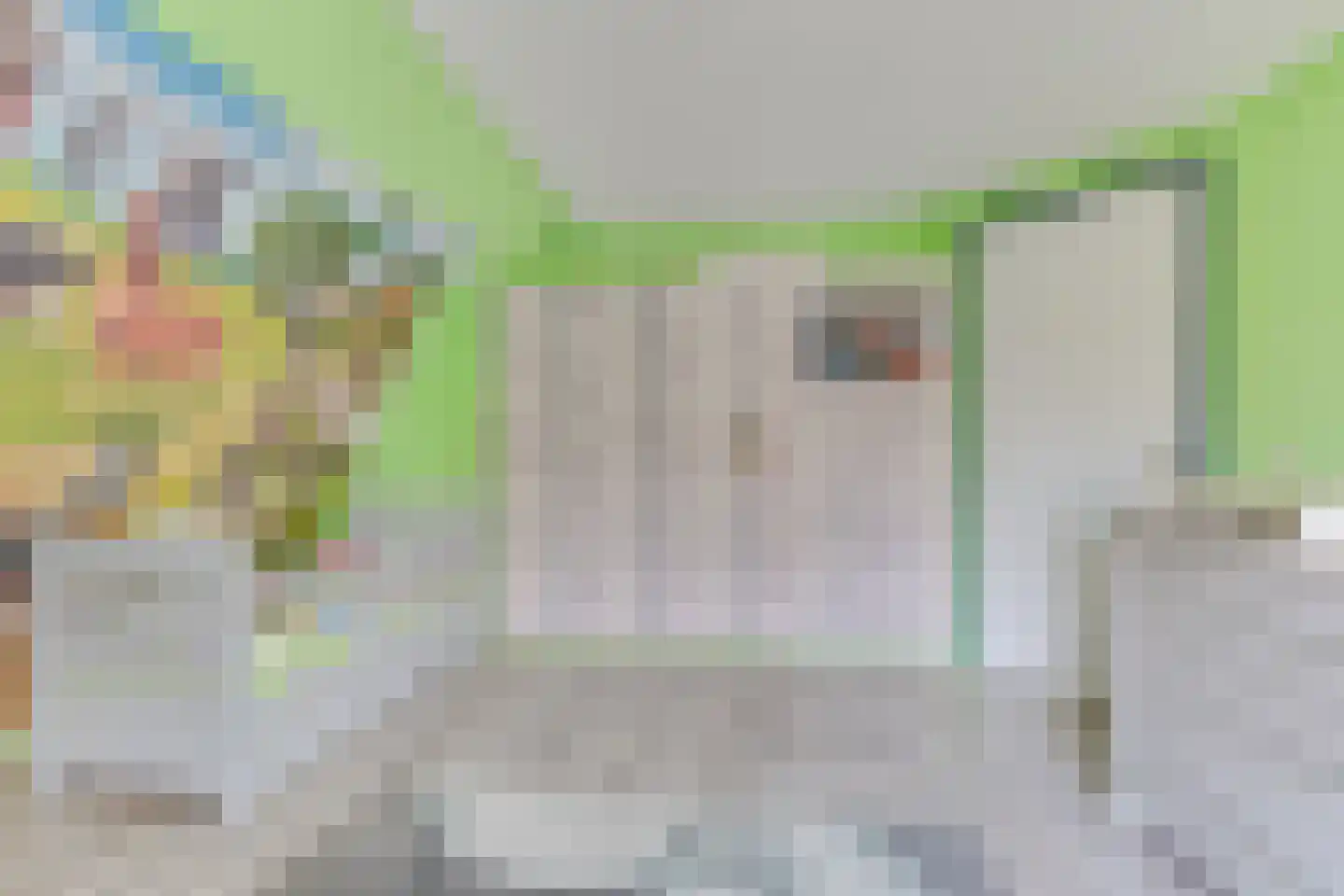 Krankhoorn 14 Warmenhuizen thumbnail 43