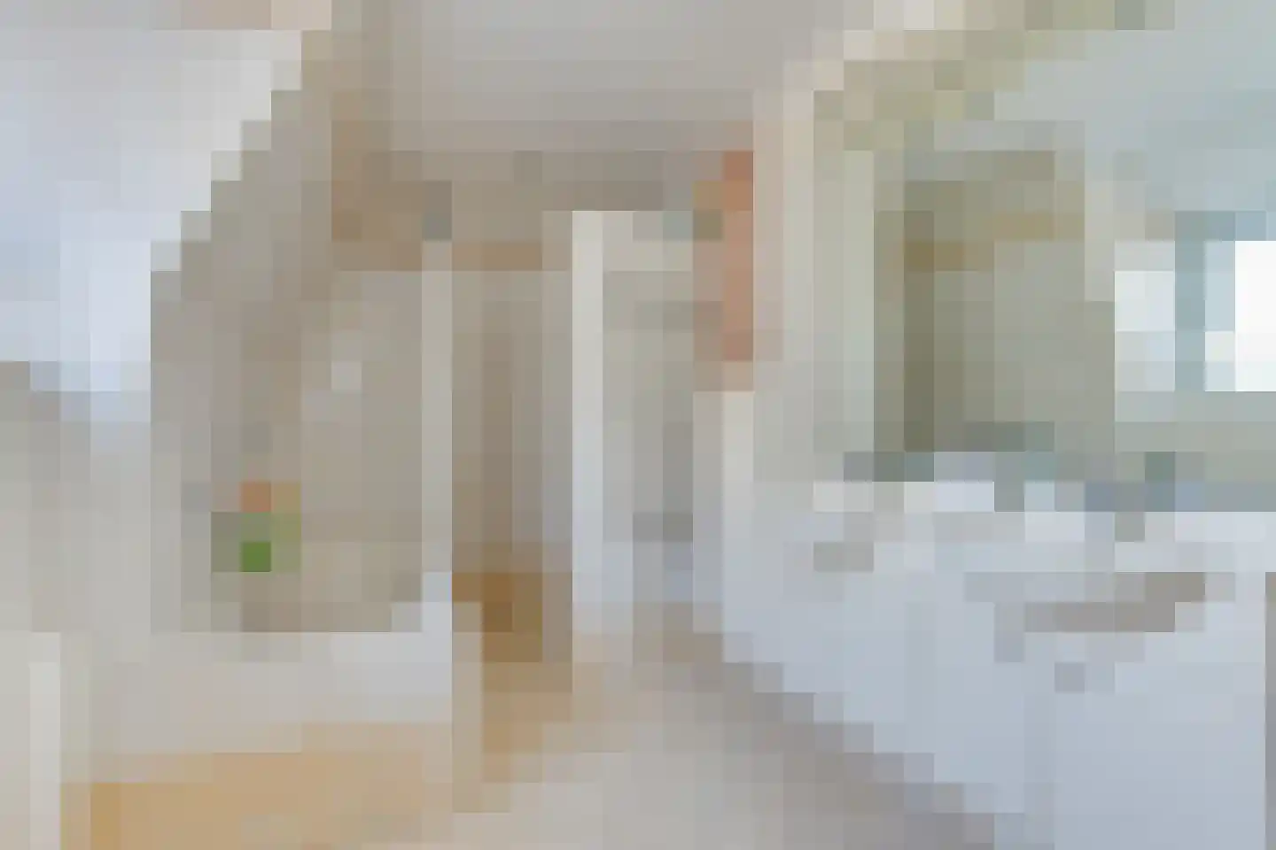 Krankhoorn 14 Warmenhuizen thumbnail 47