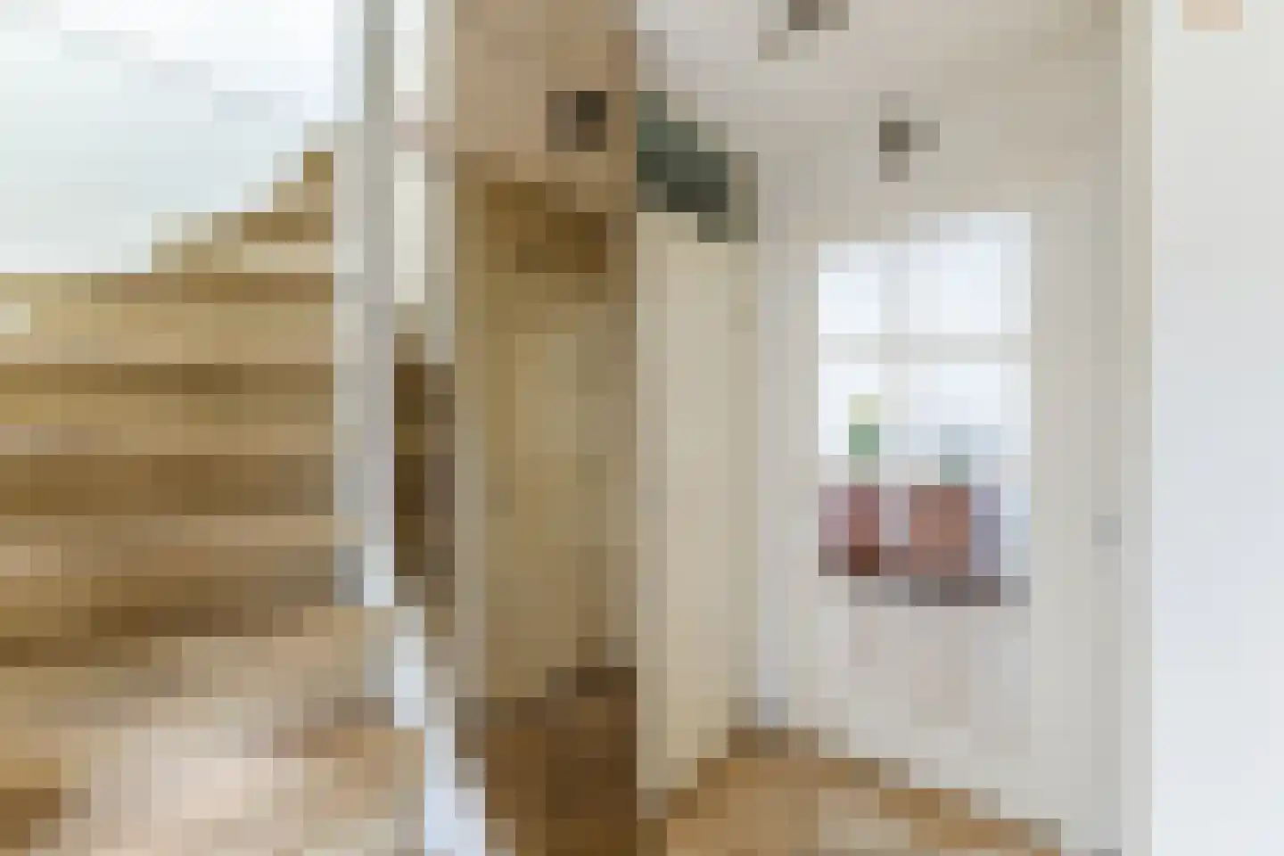 Kransakker 10 Berkel-Enschot thumbnail 4