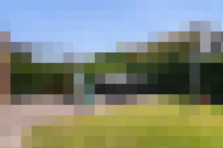 Kransakker 18 Weert thumbnail 53