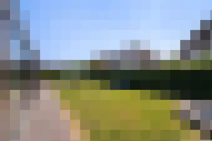 Kransakker 18 Weert thumbnail 55