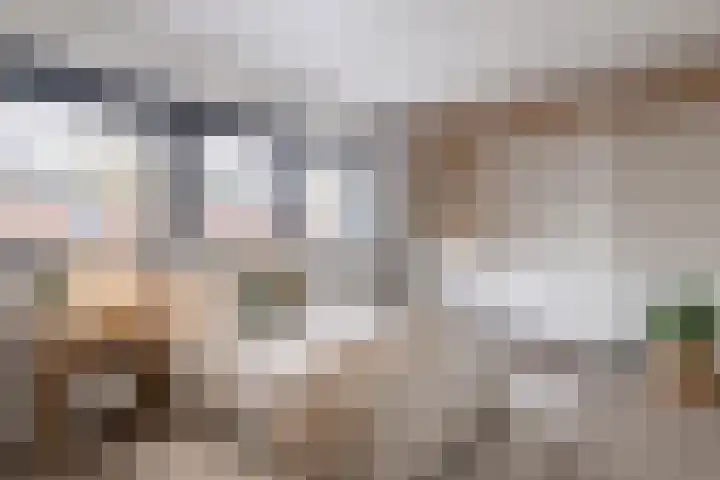 Kransfontein 6 Purmerend thumbnail 10