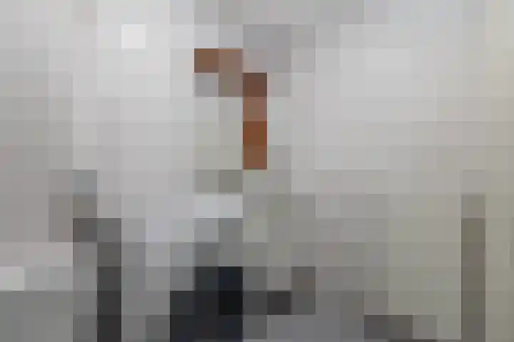 Kransfontein 6 Purmerend thumbnail 13