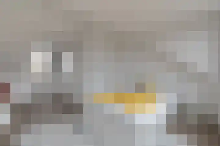 Kransfontein 6 Purmerend thumbnail 17