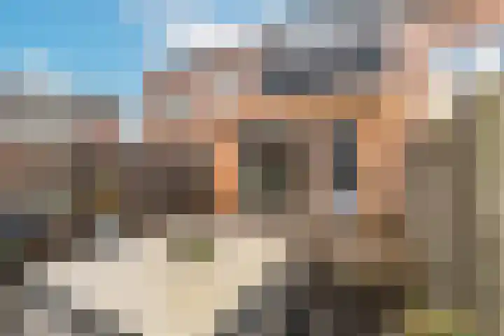 Kransfontein 6 Purmerend thumbnail 24