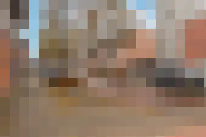 Kransfontein 6 Purmerend thumbnail 27