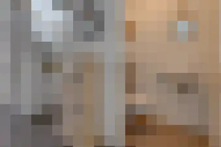 Kranssteen 23 Borger thumbnail 15