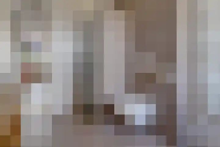 Kranssteen 23 Borger thumbnail 16