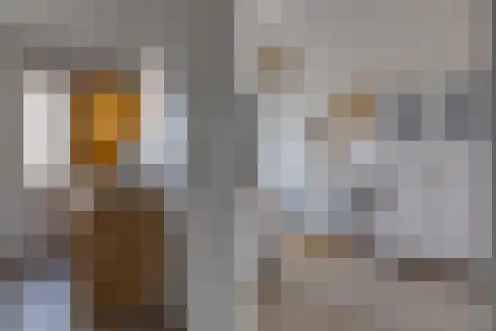 Kranssteen 23 Borger thumbnail 24