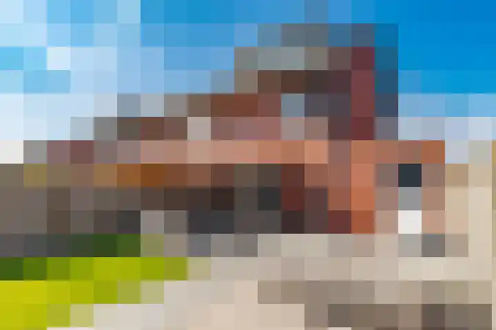 Kranssteen 23 Borger thumbnail 31