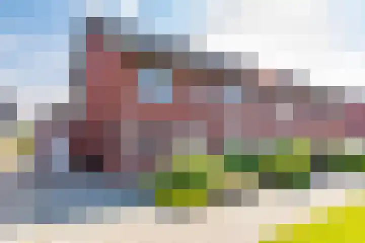 Kranssteen 23 Borger thumbnail 37