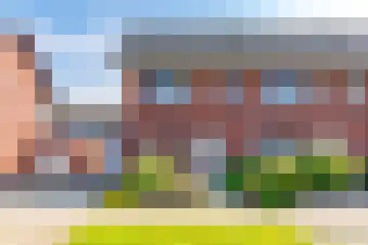 Kranssteen 23 Borger thumbnail 4