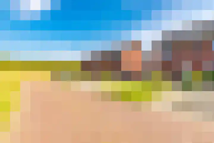 Kranssteen 23 Borger thumbnail 6