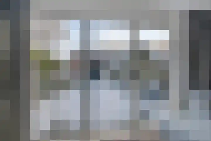 Kransvederkruid 20 Amersfoort thumbnail 11