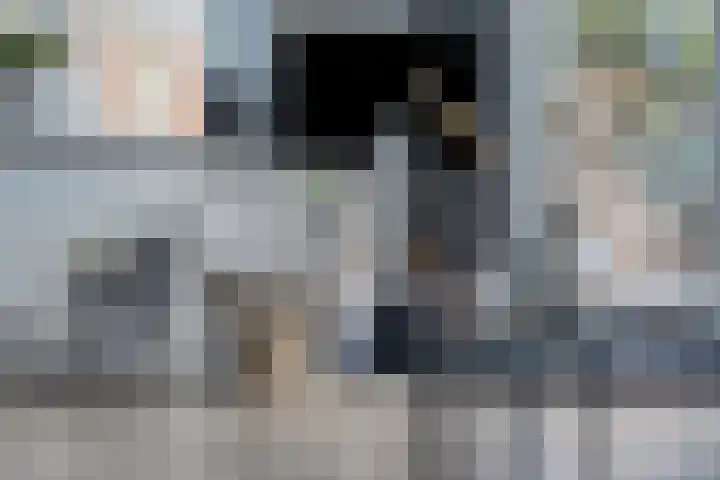 Kransvederkruid 20 Amersfoort thumbnail 12