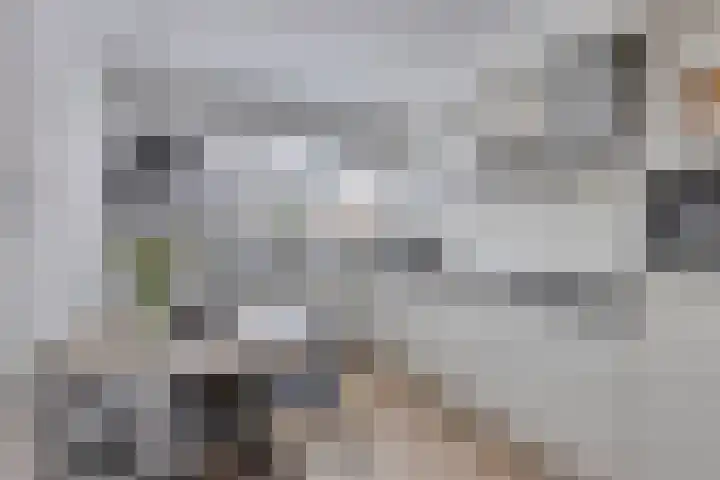 Kransvederkruid 20 Amersfoort thumbnail 13