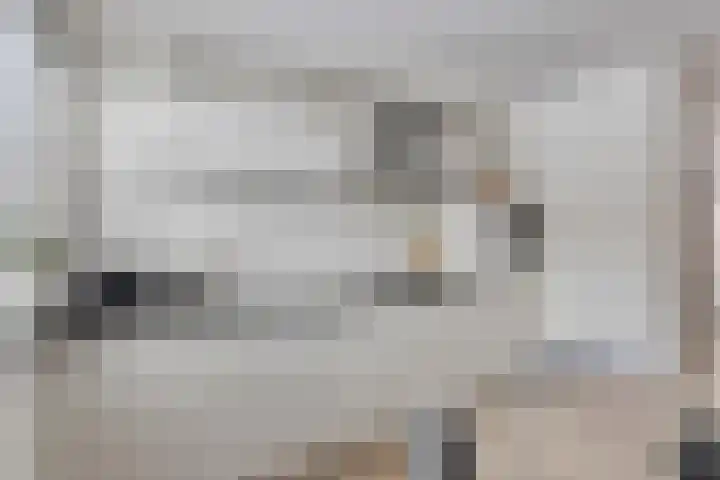 Kransvederkruid 20 Amersfoort thumbnail 14