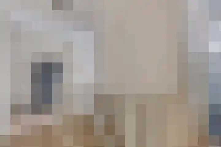 Kransvederkruid 20 Amersfoort thumbnail 15