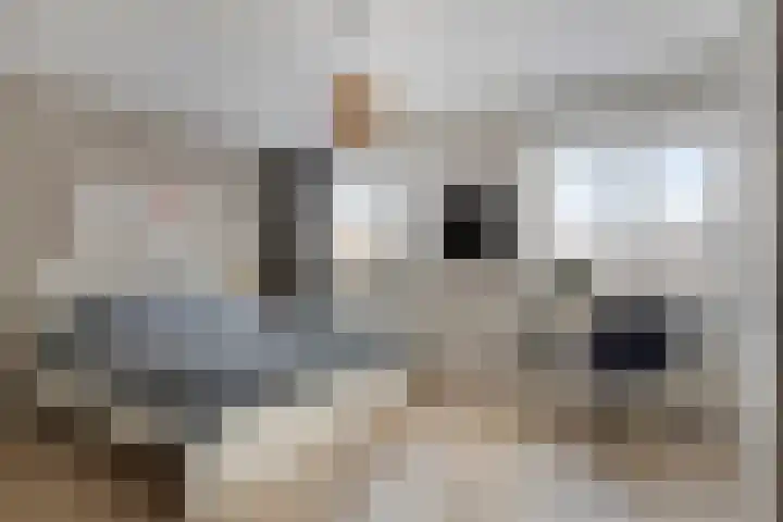 Kransvederkruid 20 Amersfoort thumbnail 16