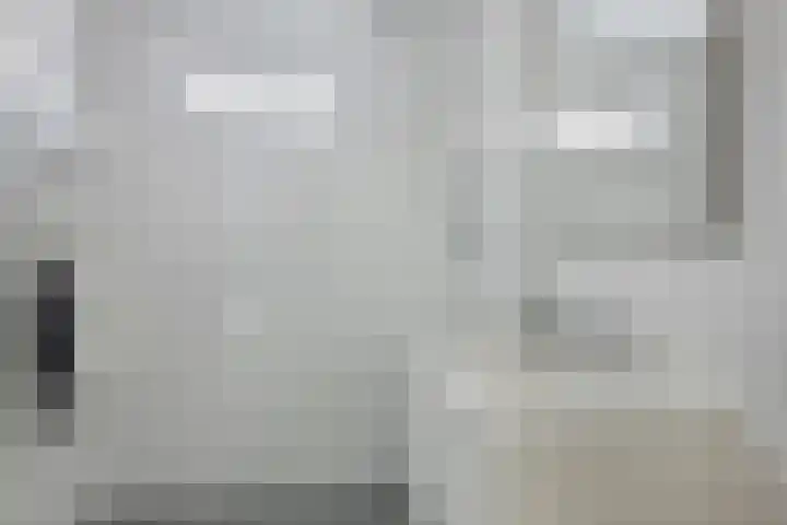Kransvederkruid 20 Amersfoort thumbnail 18
