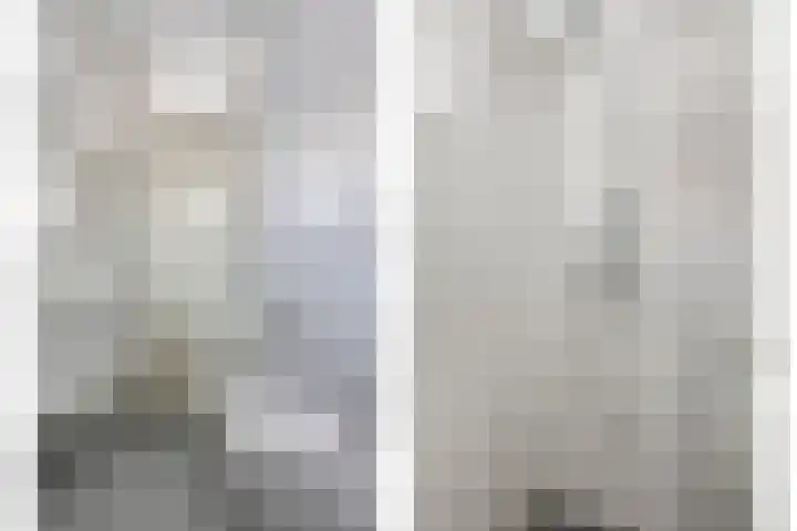 Kransvederkruid 20 Amersfoort thumbnail 19