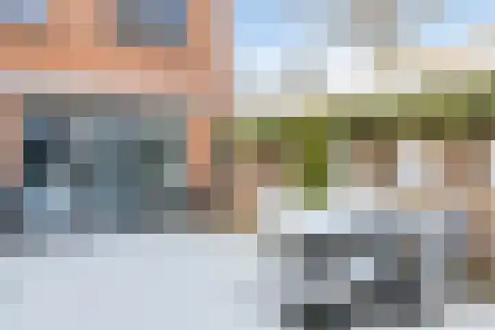 Kransvederkruid 20 Amersfoort thumbnail 23