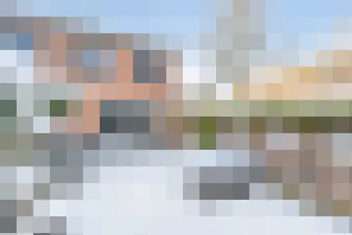 Kransvederkruid 20 Amersfoort thumbnail 24
