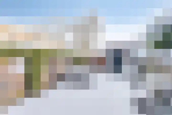 Kransvederkruid 20 Amersfoort thumbnail 25