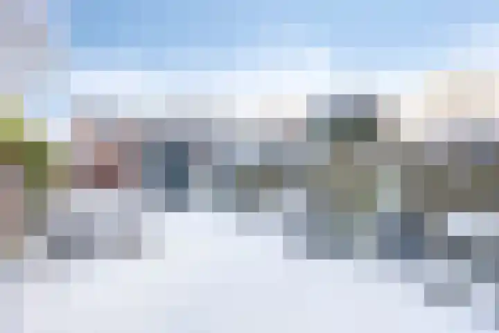 Kransvederkruid 20 Amersfoort thumbnail 26