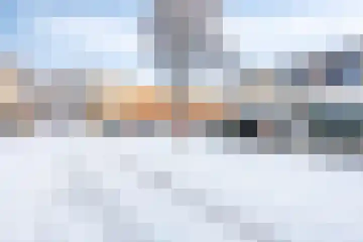 Kransvederkruid 20 Amersfoort thumbnail 27