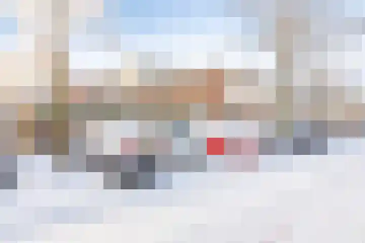 Kransvederkruid 20 Amersfoort thumbnail 28