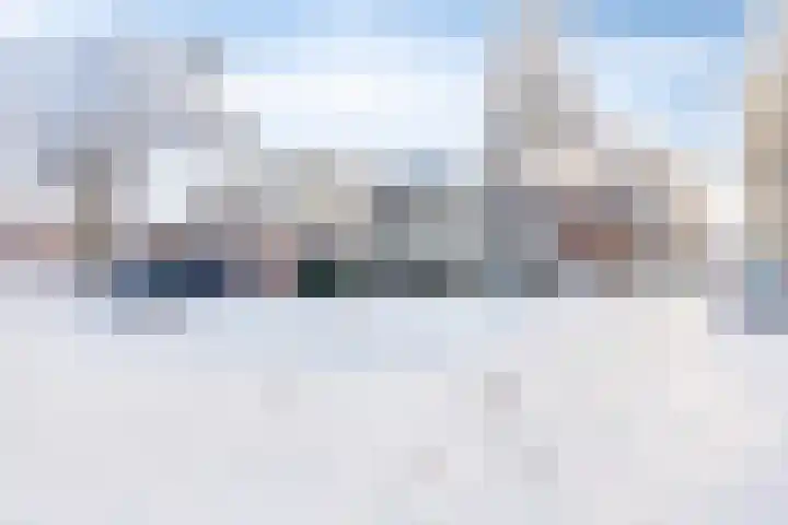 Kransvederkruid 20 Amersfoort thumbnail 4
